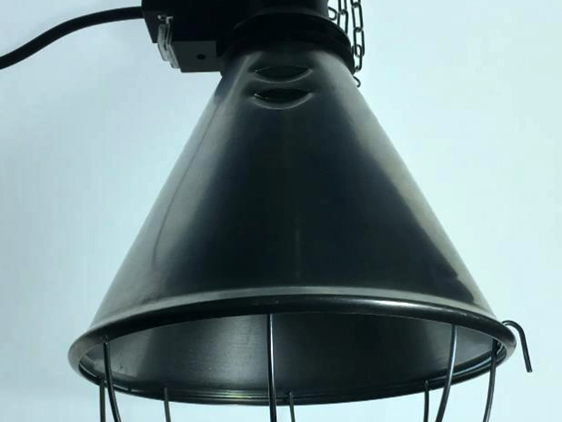 保溫?zé)? /><br /></div><div>給小豬斷掉保溫?zé)舻膮⒖家蛩仄鋵?shí)不是重量，而是要看它的出生時(shí)間和健康狀態(tài)來決定的。一般小豬30日齡后不用開保溫?zé)?。小豬出世后，身體素質(zhì)較差，非常容易遭受冷害，因此必須24鐘頭一直開了保溫?zé)?。保溫?zé)粞b在間距小豬后背15cm以上的部位，1-7日齡溫度為28-32℃，8-30日齡維持25-28℃溫度，以后漸漸地降至自然環(huán)境中的溫度。</div><div>小豬調(diào)整人體體溫適應(yīng)新環(huán)境的性差，特別怕冷，嚴(yán)寒對仔豬的立即傷害是凍死，與此同時(shí)又是砸死、餓死了和下痢的發(fā)病原因。豬仔在較低溫度時(shí)，體溫降低，行為滯銷品，喝奶乏力，進(jìn)而造成下痢或心搏驟停，最后造成被砸死、餓死了或病亡。天齡超出60天的仔豬對環(huán)境溫度需求相對性就沒那麼高，一般保持在22度上下就可以了，因而當(dāng)超出60天之后對小豬的隔熱保溫對策可以相對性釋放壓力。</div><div>能采用下列狀況給小豬給予適合溫度自然環(huán)境：1、紅外感應(yīng)保溫?zé)簟，F(xiàn)階段紅外感應(yīng)保溫?zé)舯黄毡榈牟捎?，方式是：用紅外感應(yīng)燈光效果吊掛在仔豬靜臥的護(hù)仔架上邊或隔熱保溫間內(nèi)給仔豬保溫供暖，并可依據(jù)仔豬需要的溫度及時(shí)調(diào)節(jié)紅外感應(yīng)保溫?zé)舻牡跏较鄬Ω叨?。此方法機(jī)器設(shè)備簡易，隔熱保溫效果非常的好，并有預(yù)防皮膚疾病的作用。2、仔豬保溫隔熱板。電加熱控溫防寒保暖板表面溫度26～32℃。商品構(gòu)造合理，安全性節(jié)電，使用便捷，控溫靈便，控溫精確，適用大中型工廠化養(yǎng)豬場。</div><div><br /></div><div>以上就是宇成電熱為大家分享的“小豬保溫?zé)簟保Ｍ軐δ兴鶐椭?。我們一定要視情況和具體環(huán)境來使用，并且不可直接撤掉燈，而是需要讓它慢慢適應(yīng)自然環(huán)境。</div>
		</div>
	</div>
</div>

</div>
</div>
</div>
</div>
<div   id=